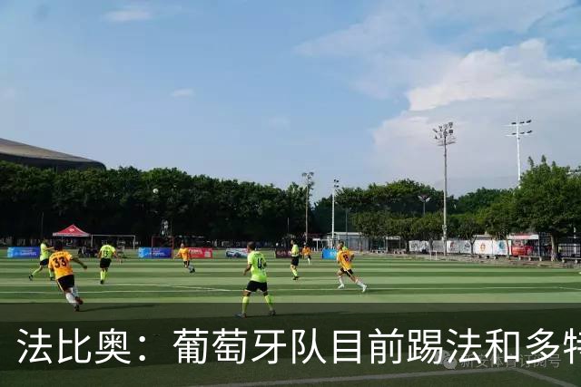 法比奥：葡萄牙队目前踢法和多特相似，我很期待接下来的训练